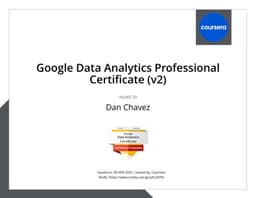 Google Data Analytics Professional Certificate